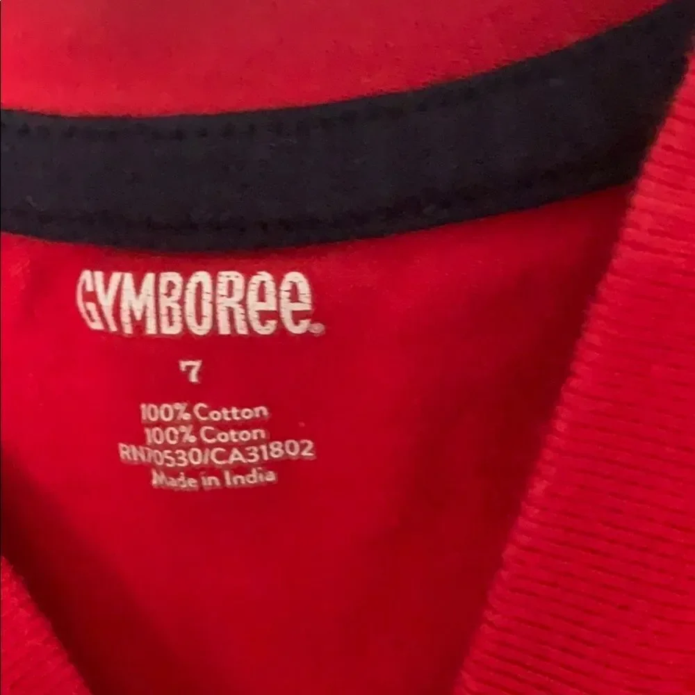 Gymboree top bundle 2